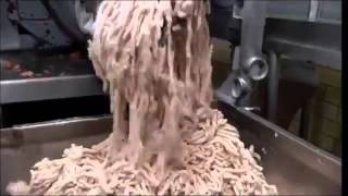 How Its Made Hot Dogs [upl. by Petulia]