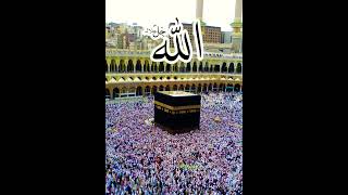 kaba macca islamic quran islamicvideo islam ytshorts Youtubeshorts [upl. by Otrebla]