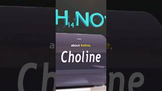 Choline Benefits Food Sources Daily Dosage health choline vitamineuses [upl. by Veronike]