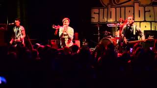 Suburban Legends  Ducktales Petaluma CA [upl. by Yorled673]