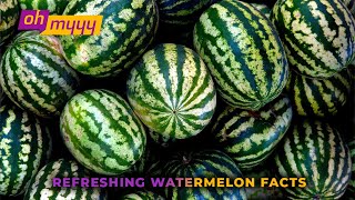 Refreshing Watermelon Facts  George Takei’s Oh Myyy [upl. by Upshaw]