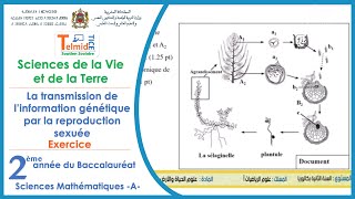 La transmission de linformation génétique par la reproduction sexuée 2Bac Sc Math a  Exercice [upl. by Eednac]