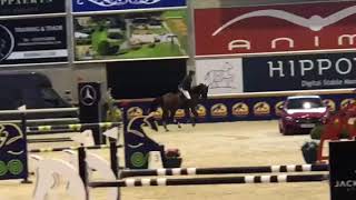 KASSANDER VANT ROOSAKKER  CSI2 Opglabbeek 1 40m [upl. by Ydissac]