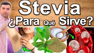 ESTEVIA ES LO MEJOR  Para Que Sirve Beneficios Y Contraindicaciones De Endulzar Con Stevia [upl. by Newell]