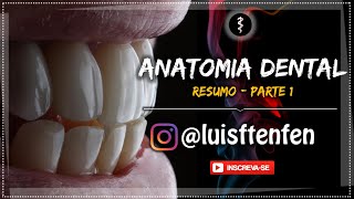 Anatomia Dental RESUMO Parte 1 [upl. by Daria]