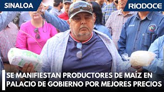 Se manifiestan productores de maíz en Sinaloa piden precio justo [upl. by Ark559]