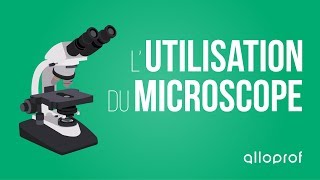 Lutilisation du microscope  Sciences  Alloprof [upl. by Yelssew318]