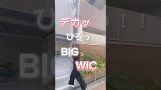 【No66】デカッ❣️ひろっ❣️大阪賃貸 1人暮らし 敷金礼金0円 お部屋探し ワンルームマンション ウォークインクローゼット [upl. by Haerdna]