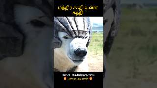 Worlds most powerful knife  மந்திர சக்தி உள்ள கத்தி  Infogle [upl. by Celisse507]