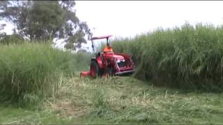 Apollo 55 hp tractor and 6 ft Del Morino Flail Mower 2 [upl. by Akkire]