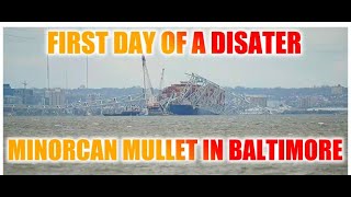 MV Dali and Bridge Collapse Report from Baltimore Environmental Cleanup Begins [upl. by Ahoufe]