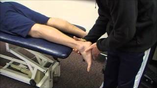 Assessing the Subtalar Joint [upl. by Ybreh]