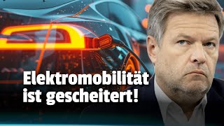 Elektromobilität ist GESCHEITERT Ohne Subventionen unverkäuflich  83metoo Talks [upl. by Eelrac928]