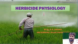 Herbicide Physiology [upl. by Estus]