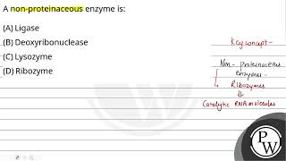 A nonproteinaceous enzyme is [upl. by Sandeep]