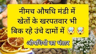 नीमच मंडी में खेत में होने वाले खरपतवार भी बिक रहे 🤯🤯 ।। नीमच मंडी भाव ।। Neemuch Mandi Bhav [upl. by Mulvihill]