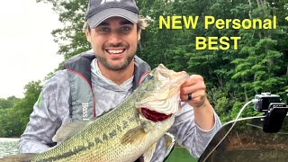 Watauga Lake bass fishing in June  Glide bait fishing for GIANT BASS [upl. by Zoara264]