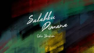 Oslo Ibrahim  Salahku Dimana Lyric Video [upl. by Akihdar875]