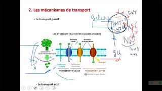 hassanjdaiaa c1a Transports membranaires [upl. by Naugan]