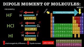 Magnetic dipole and magnetic dipole moment  video in HINDI  EduPoint [upl. by Valli]