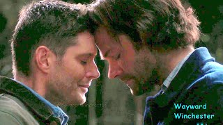 Supernatural Season 15 Supercut  Carry On [upl. by Ative161]