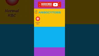 Anisocytosis amp Poikilocytosis l trendingshorts PATHOGENESIS ytshorts [upl. by Favien]