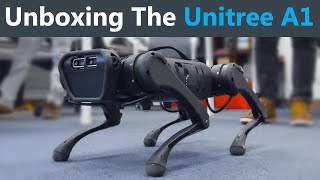 Unboxing a LowCost Robot Dog [upl. by Purdy141]