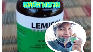 LEMISOL รักษาอาการแพะคางบวม พยาธิแพะ [upl. by Gabriello]