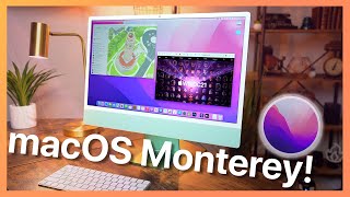 macOS Monterey Hands on First Look [upl. by Atteuqcaj]