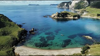 Explore the Coromandel Peninsula with Dive Zone Whitianga [upl. by Ihsir783]