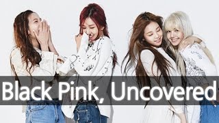 BLACKPINK New YG Girl Group Uncovered 블랙핑크 ENG SUB [upl. by Ettenyl580]