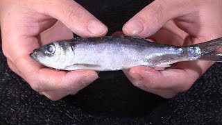 How to rig herring for king salmon fishing [upl. by Emse]