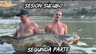 SILUROS AL PELLET Sesión SÚCUBO PARTE 2 [upl. by Ahsim34]