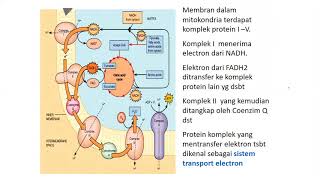 Resume Metabolisme Karbohidrat Lengkap [upl. by Robinet408]