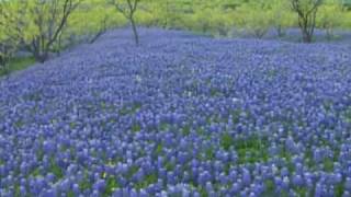 Keep Texas Wild Blackland Prairie [upl. by Amocat]