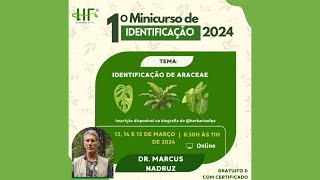 Minicurso de Identificação de Araceae  Parte I [upl. by Dilly127]