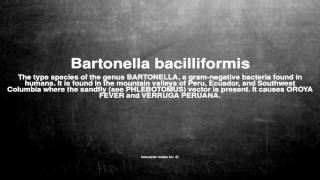 Medical vocabulary What does Bartonella bacilliformis mean [upl. by Dygal]