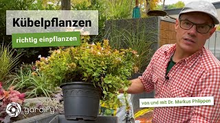 Kübelpflanzen für Garten Balkon und Terrasse  Richtig einpflanzen  gardify Tipps [upl. by Harp]