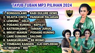 MP3 TAYUB TUBAN PILIHAN TERBARU 2024  AUDIO MANTAP [upl. by Eilrac742]