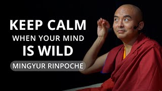 Keep Calm When Your Mind Is Wild  with Yongey Mingyur Rinpoche [upl. by Boyden]