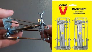 How to Set Victor Easy Set Gopher Trap [upl. by Ossy]