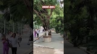 Durbar Marg Kathmandu Brand New Fooothpath after Balen Action 2024 [upl. by Eniahs]