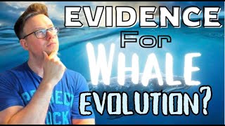 Is it REALLY TRUE that NO CREATIONIST can answer these Arguments Whale Evolution [upl. by Sacha588]