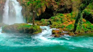 Relaxing Music with Nature Sounds  Waterfall HD [upl. by Massimo]