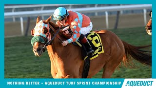 Nothing Better  2023  The Aqueduct Turf Sprint Championship [upl. by Hermann914]