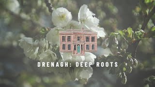 Drenagh Deep Roots Intro [upl. by Ahsaf]