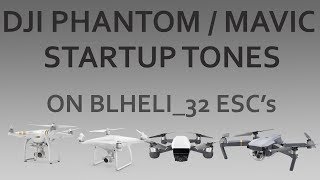 DJI PHANTOM 3 amp 4 MAVIC STARTUP TONES on BLHeli32 ESCs  SHORT [upl. by Alomeda532]