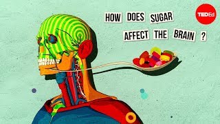 How sugar affects the brain  Nicole Avena [upl. by Wolram]