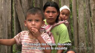 Trailer MADRES DE LA DROGA Documental [upl. by Pauwles10]