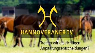 Hannoveraner TV Treffen wir die richtigen Anpaarungsentscheidungen [upl. by Pansir]